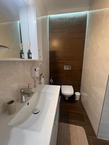 un bagno con un lavandino bianco e un water di La Strada Central Apartament a Oradea