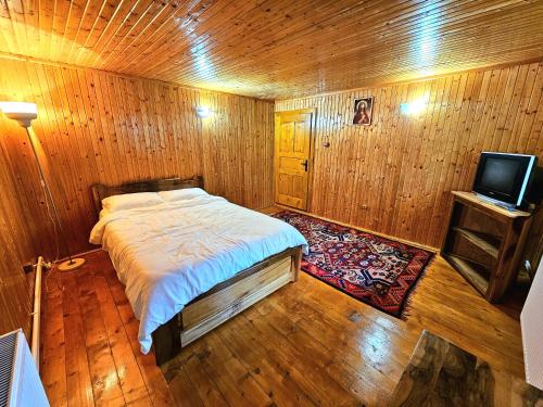 TV a/nebo společenská místnost v ubytování Cabana din Tei, 5 Camere si Semineu, Costisata, Dambovita