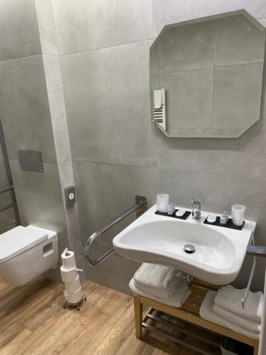 a bathroom with a white sink and a toilet at Canpol-Jull's Art Hotel in Człuchów