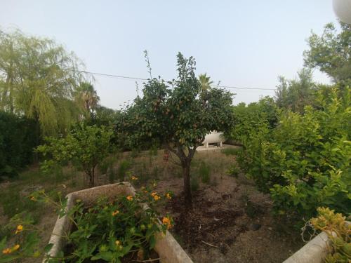 Φωτογραφία από το άλμπουμ του Sunset Villa σε Torre Lapillo