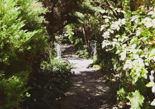 a path through a garden with trees and plants at Pandora's guesthouse in Bethlehem