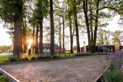 Zahrada ubytování Hofparken Wiltershaar