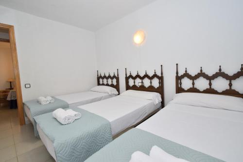 Coblanca 3 - Fincas Arena photo 3