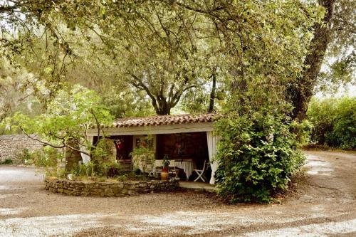 Κήπος έξω από το Villa Le Niaouli