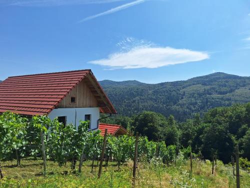 Naturlandskabet i nærheden af feriehuset