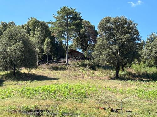Fotografie z fotogalerie ubytování Lodge A NASSA v destinaci Olivese