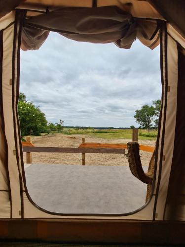 a view from a tent looking out of a window at Luxuszelt in der Pferdeherde in Kruge-Gersdorf