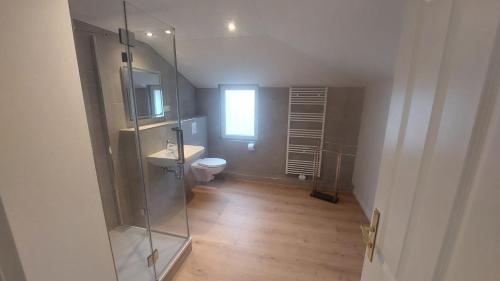 a bathroom with a shower and a toilet and a window at Haus Moritzburg in Bad Schandau
