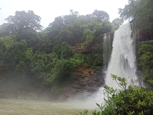 a waterfall in the middle of a forest at Dj wood cabin in Mawlynnong