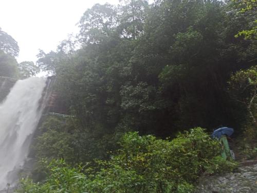 a person with an umbrella standing next to a waterfall at Dj wood cabin in Mawlynnong