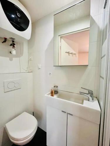 une salle de bain avec un lavabo, des toilettes et un miroir dans l'établissement Au centre de paris Saint-michel et St germain despres, à Paris