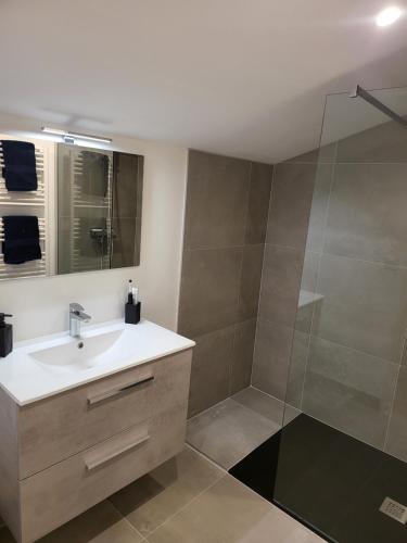 une salle de bain avec un lavabo et une douche dans l'établissement Bel appartement mansardé, à Carcassonne