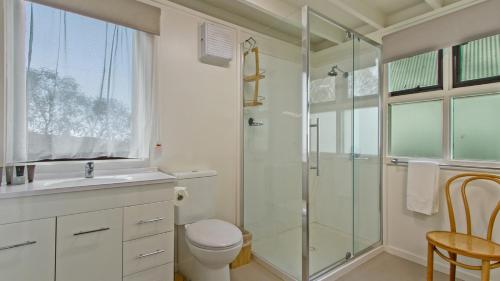 a bathroom with a shower and a toilet and a sink at The Cubby in Dinner Plain