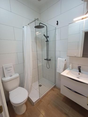 a bathroom with a shower and a toilet and a sink at La Casita de Las Eras in Níjar