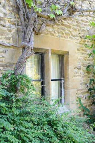 Κήπος έξω από το Charney Manor