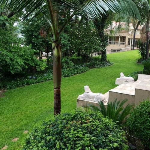 Summerview Boutique Hotel & Conferenceにある庭