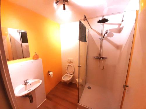 a bathroom with a shower and a toilet and a sink at Nisihof, Landluft in Oberkirch