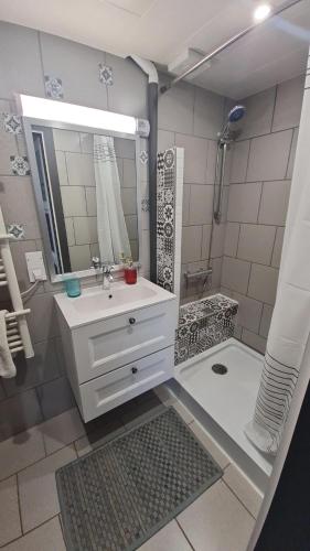 une salle de bain avec un lavabo, un miroir et une douche dans l'établissement Au Calme Des Vosges, à Fresse-sur-Moselle
