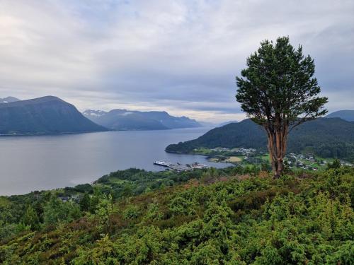 a tree sitting on top of a hill next to a lake at Cozy Retreat in the Heart of Ålesund in Ålesund