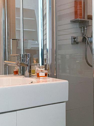 une salle de bain avec un lavabo et un miroir dans l'établissement Superbe appartement proche Jardins du Luxembourg Paris, à Paris