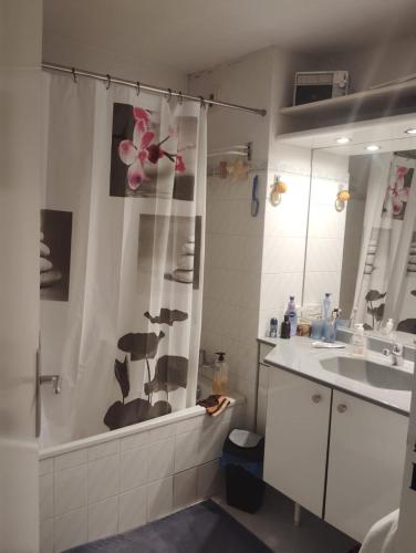 une salle de bain avec une douche, un lavabo et une baignoire dans l'établissement T3 avec piscine et proche de la mer 5mns à pied, à Saint-Raphaël