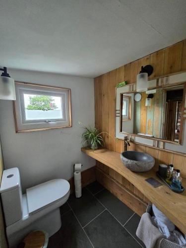 a bathroom with a sink and a toilet and a mirror at La'al Cabin, tiny home, unique space Eden Valley Cumbria in Brampton