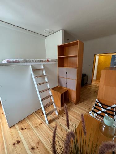 a room with a bunk bed and a ladder at Viki54 FeWo04 "hereinspaziert", Monteurs- und Ferienwohnung in Velten