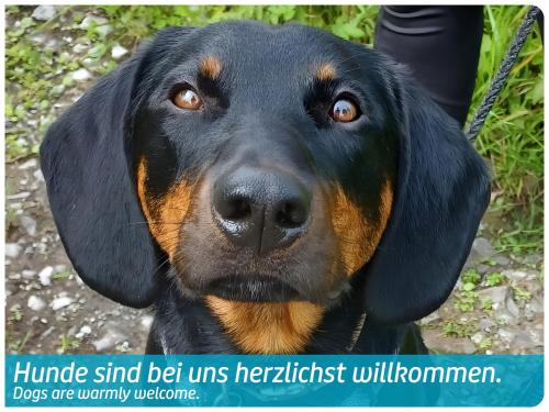 a black and brown dog is on a leash at Vitalhotel Quellengarten - Bed & Breakfast in Lingenau