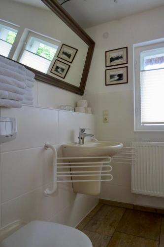 a bathroom with a sink and a toilet and a window at Ferienwohnung im Hochland in Kloster