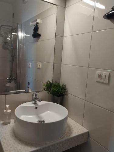 Apartments Lucia