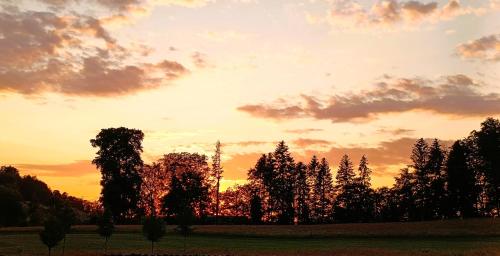 a sunset with a group of trees in a field at Nisihof, Buurenzimmer Family or Single in Oberkirch