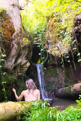 a man in a pool of water next to a waterfall at Nisihof, Buurenzimmer Family or Single in Oberkirch