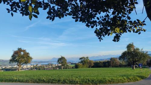 a field of green grass with trees in the foreground at Nisihof, Buurenzimmer Family or Single in Oberkirch