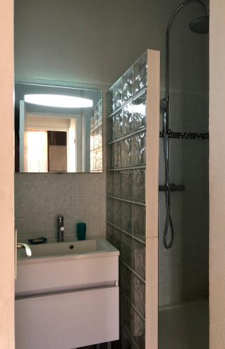 une salle de bain avec un lavabo et une douche avec un miroir dans l'établissement Charmante maison dans les pins proche de la plage, à Saint-Cyprien