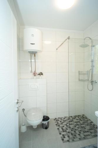 a bathroom with a toilet and a glass shower at Villa Paradise On The River in Blagaj