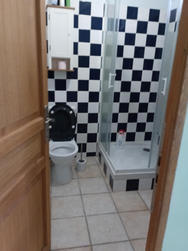 une salle de bain avec toilettes et douche avec un mur à damier dans l'établissement L'atelier mazé milon, à Mazé