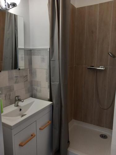 La salle de bains est pourvue d'un lavabo et d'une douche. dans l'établissement Appartement cosy Nice, à Nice