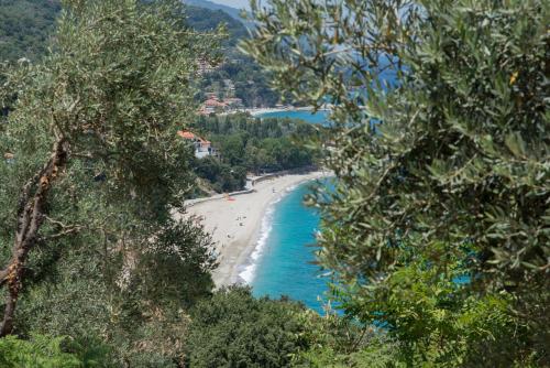 a view of a beach from a hill with trees at Το καλύβι της γιαγιάς in Damouchari