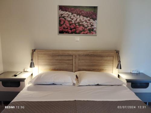 a bed with two pillows and a painting on the wall at Havouli Cottage in Moúdhros