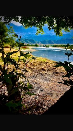a view of a river from behind a tree at Camping Shtepez in Gjirokastër