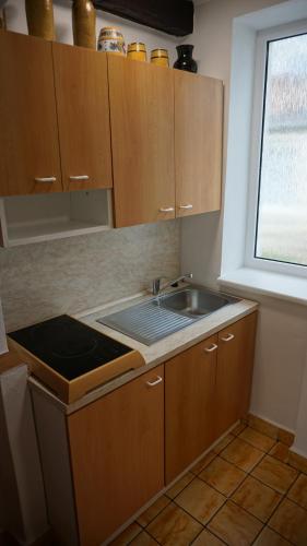 a small kitchen with a sink and a window at Chalupa u Marušky in Český Rudolec