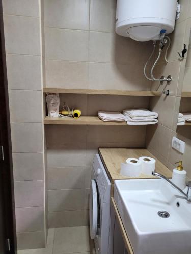 a bathroom with a washing machine and a sink at Apartman Đokić in Perućac