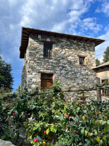 a stone house with a bush in front of it at Trees Ikies in Mouresi