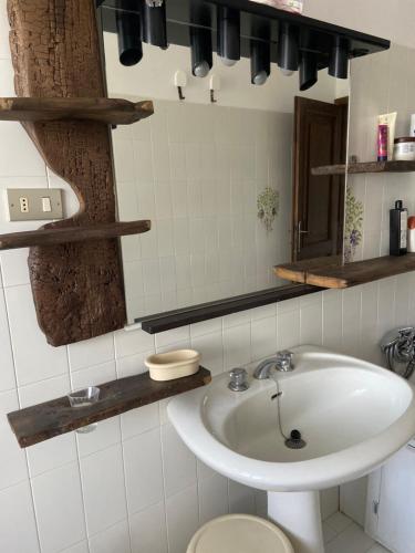 a bathroom with a sink and a toilet at Stanza nel bosco alla Canova di Biforco in Rocca San Casciano