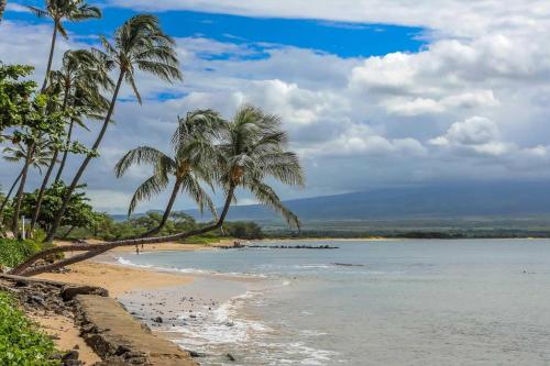 a beach with palm trees and the ocean at Kanai A Nalu 302 in Wailuku