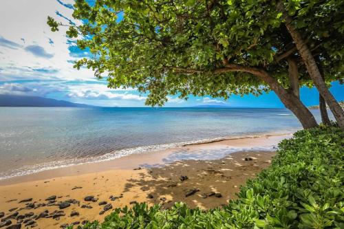 a beach with a tree and the ocean at Kanai A Nalu 302 in Wailuku