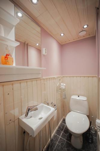 a bathroom with a white toilet and a sink at Hostelli Karvia in Karvia