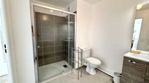 une salle de bain avec une douche, des toilettes et un lavabo dans l'établissement Le 110 appartement, à Saint-Valery-sur-Somme