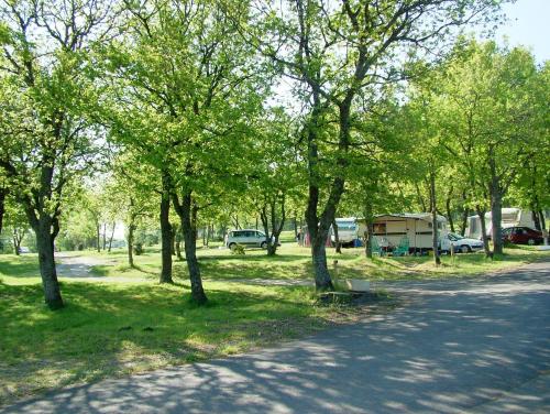 a park with trees and a road with a campsite at Camping maeva Respire de La Croze in Châtel-Guyon