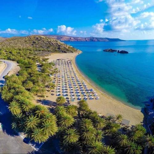 an aerial view of a beach with palm trees and the ocean at MANOS Small House Kouremenos in Palekastron